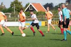 foto-patrijzen-web